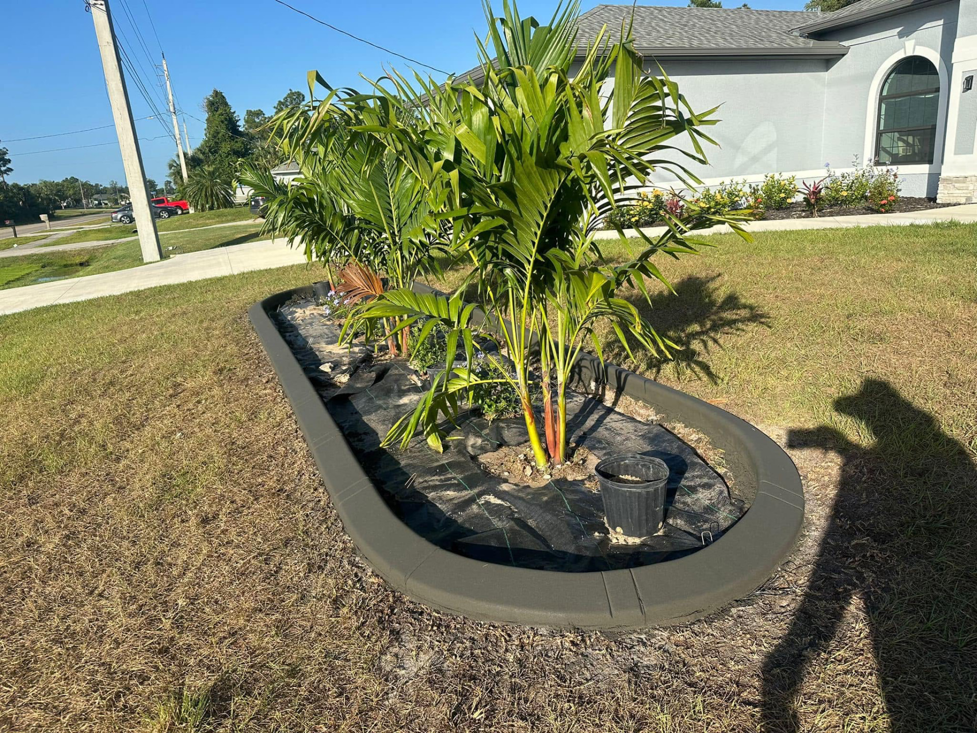 Charcoal curbed island with palms and weed barrier in a corner lot