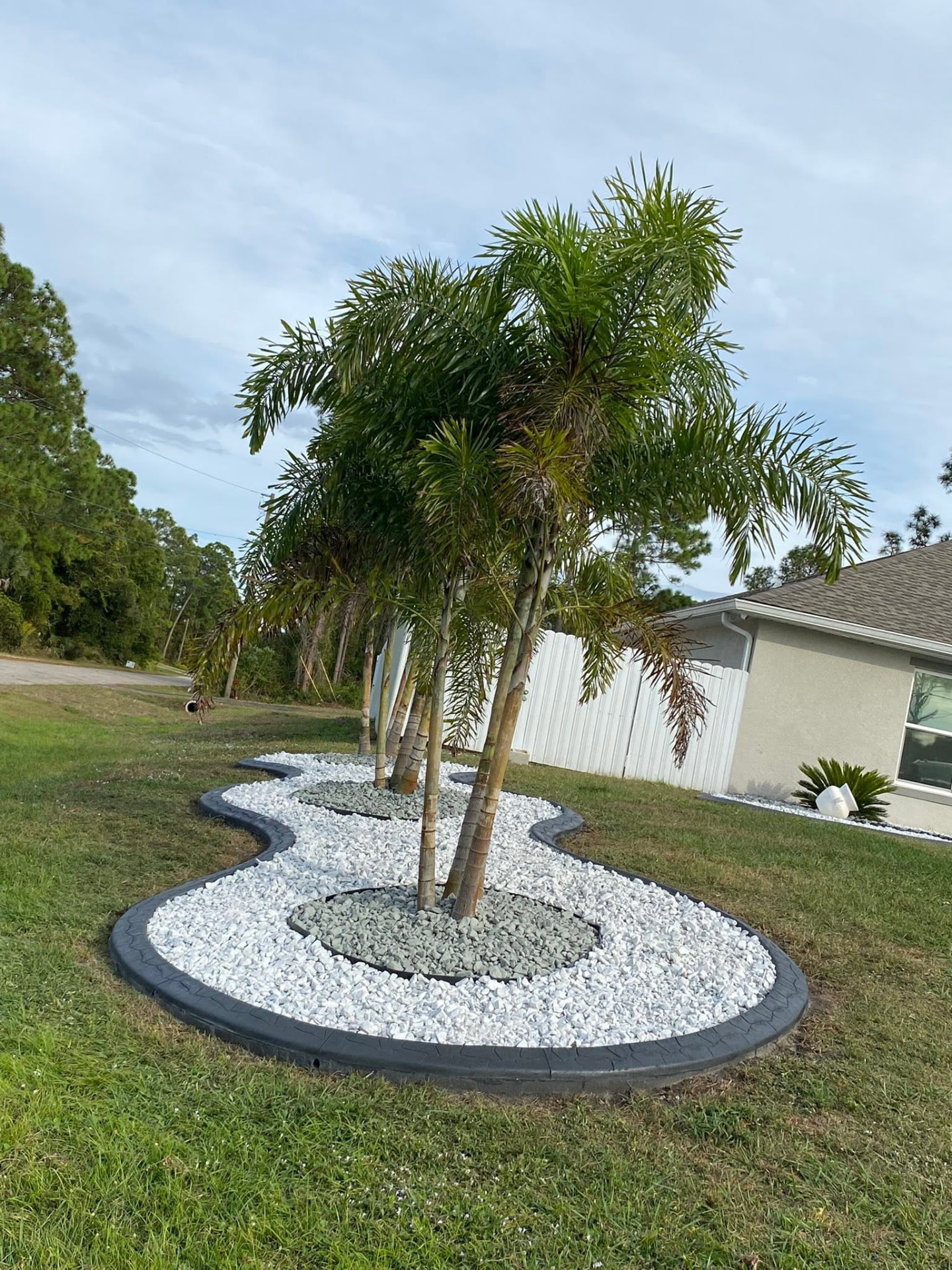 Serpentine charcoal curb bed with white rock and foxtail palms