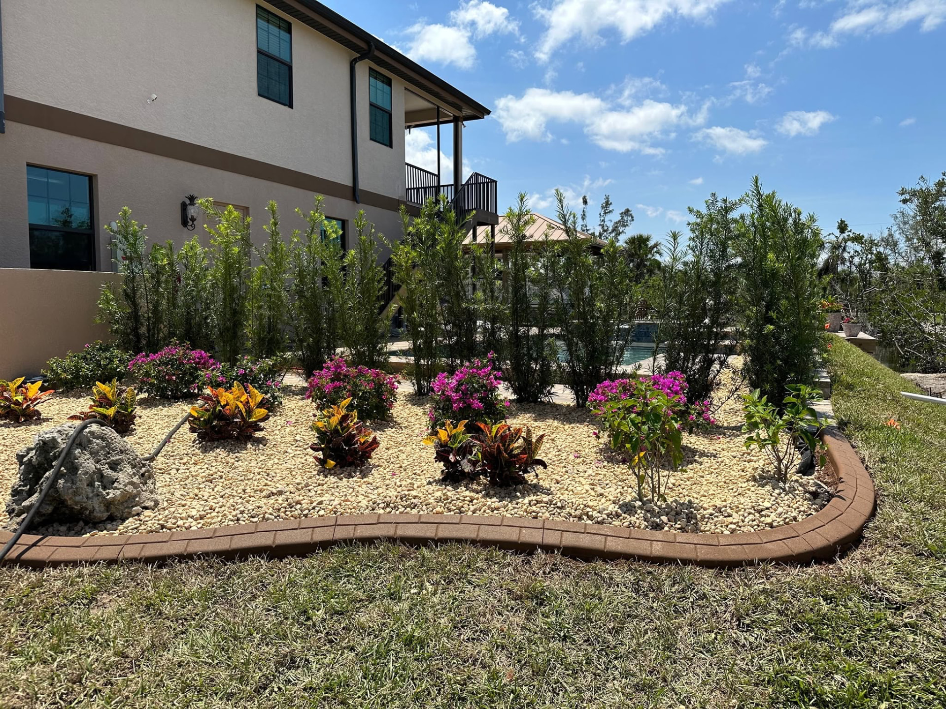 Long brown curb enclosing a gravel bed with bougainvillea and podocarpus